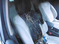 Recycling Car - Voiture accidentée en vente. Cliquez pour zoomer Recycling Car - Voiture accidentée en vente. Cliquez pour zoomer
